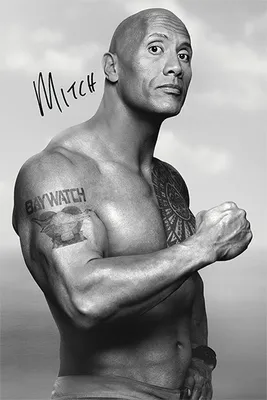 Produktbild von Baywatch - Mitch - Film Kino TV Action Komödie Poster - Größe 61x91,5 cm