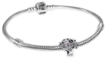 Zdjęcie produktu dla Pandora Zestaw biżuterii Srebro 925 21 cm elegancki