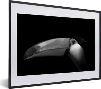 Produktbild von MuchoWow® Gerahmtes Poster Riesentukan auf einem schwarzen Hintergrund - schwarz und weiß 40x30 cm - Poster mit Schwarzem Bilderrahmen Wandposter Rahmen Foto Bilder - Bilderrahmen - Poster im Rahmen