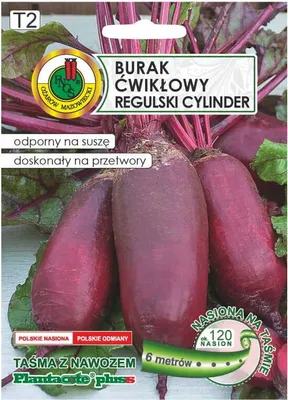 Zdjęcie produktu dla Burak ćwikłowy Regulski Cylinder 6m taśmy z nawozem Platnacote