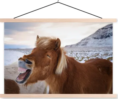 Produktbild von MuchoWow® Textilposter Pferd - Strand - Braun 60x40 cm mit holzfarbenen Rahmen - Bilder