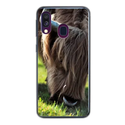Produktbild von MuchoWow® Handyhülle Schutzhülle Hülle für Samsung Galaxy A40 Schottischer Highlander - Hörner - Sonne Silikon Softcase Handy Hülle - Handy-Tasche