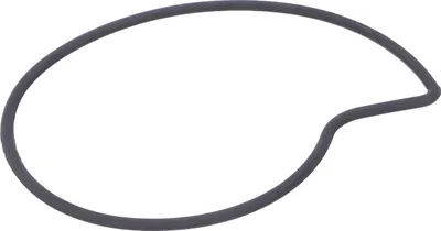 Produktbild von Piaggio O-Ring Dichtring Wasserpumpe kompatibel mit Piaggio LC 125-300, 485080