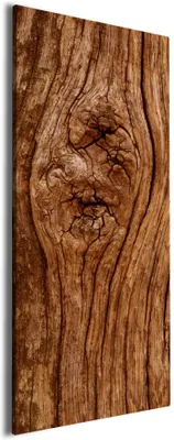 Produktbild von Wallario Premium Leinwandbild Holzstamm mit Asteinschluss in Größe 60 x 150 cm
