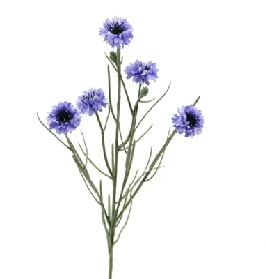 Produktbild von Kunstblume KORNBLUME ca 65cm. Kornblumen mit 5 Blüten in Blau-Lila