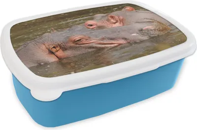 Produktbild von KitchenYeah® Lunchbox Brotzeit Brotdose 17x11 cm Nilpferd - Wasser - Natur Kinder Brotzeitdose - Lunch - Kunststoff  - Brotbüchse - Sandwichbox - Lunchbox für Kinder