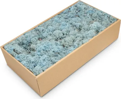 Produktbild von Islandmoos 500g in 30 Farben – Konserviertes Rentiermoos Natur, Farbe:Aquamarin