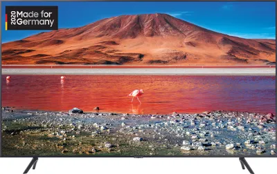 A Samsung television displaying a scenic landscape with a flamingo.