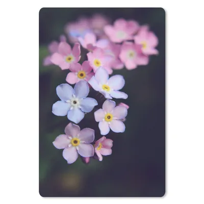 Produktbild von MuchoWow® Mauspad Mousepad Rosa Vergissmeinnicht 18x27 cm - Mousepads - Maus Mat - Pad - Mausunterlage