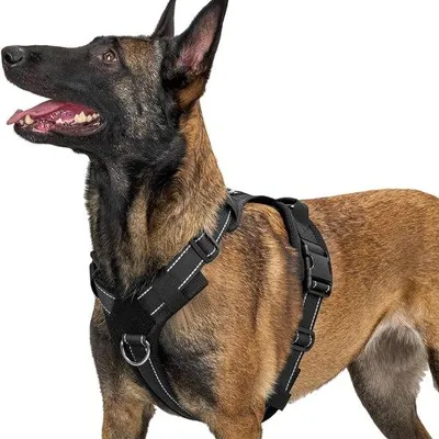 Produktbild von Hundegeschirr - verstellbar - taktisches Geschirr - weich gepolstertes Brustgeschirr für mittelgroße und große Hunde - reflektierend - 1