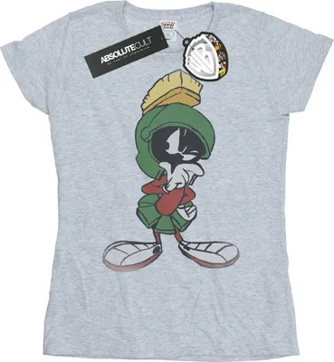 Produktbild von Looney Tunes - T-Shirt für Damen BI26839 (XL) (Grau)
