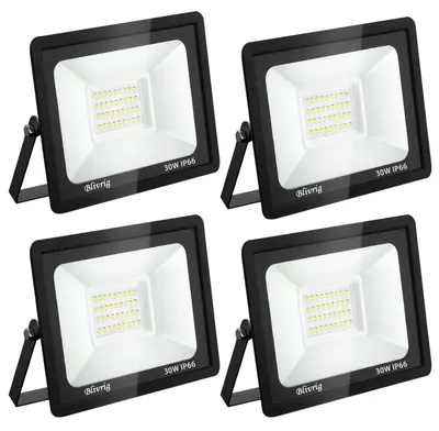 LED-Außenstrahler 30 W, 3000 Lm, IP66, kaltweiß, 4 Stück