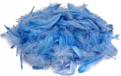 Image de Plumes bleu clair 10-12 cm, paquet de 50.