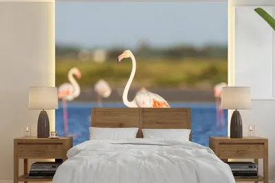 Produktbild von MuchoWow® Fototapete für Wohnzimmer oder Schlafzimmer Wandtapete Vinyl Motivtapete Eine Gruppe von Flamingos im Wasser - 280x280 cm - Hintergrundbild