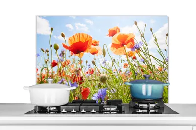 Obrázek produktu pro KitchenYeah® Splashback kitchen - Kuchyňský splashback - Ochrana stěny sporáku a dřezu - Květiny - Mák - Jaro - Příroda - Červená - Modrá 80x55 - Alu-Dibond (alternativa skleněného splashbacku) - Tepelně odolný