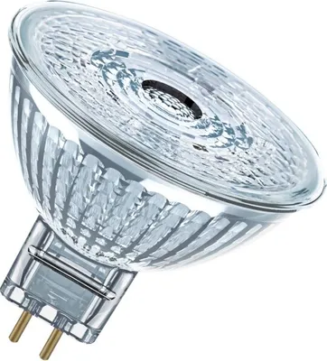 A close-up studio shot of a clear glass light bulb with silver metal pins.