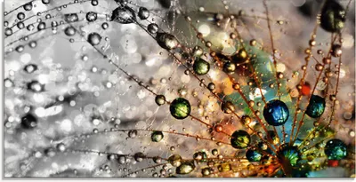 Produktbild von ARTland Glasbild Farbenfrohe Natur Größe: 60x30 cm