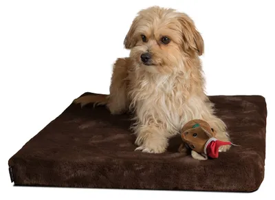 Produktbild von Orthopädisches Hundebett, 90 x 70 cm, für mittelgroße und große Hunde
