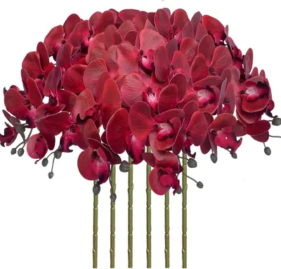 Immagine prodotto di Vaso per fiori - Set di 6 - Circa 81 cm - Rosso