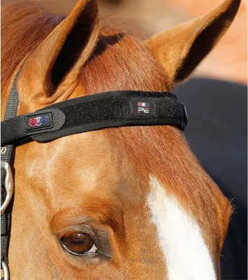 Obrázek produktu pro Premier Equine Bi-polar Magni-teque obvazy na čelo černé Černá Jedna velikost
