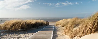 Produktbild von Wallario selbstklebendes Poster - Auf dem Holzweg zum Strand, Größe: 50 x 125 cm