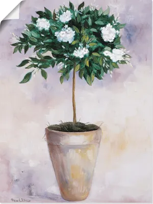 Produktbild von ARTland Poster Winterjasmin Größe: 30x40 cm