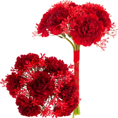 Immagine prodotto di Bouquet con 7 garofani Garofani rossi Fiori artificiali
