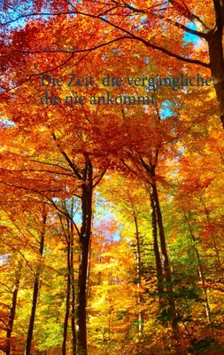 Produktbild von Die Zeit, die vergängliche, die nie ankommt