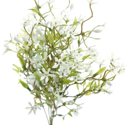 Produktbild von GASPER Jasminzweig Weiß 35 cm - Kunstblumen