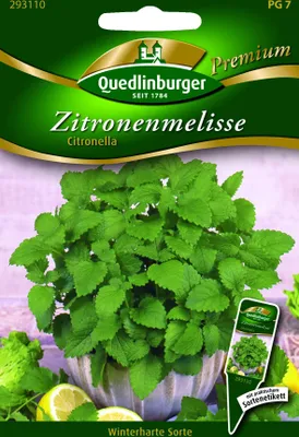 Produktbild von Quedlinburger Saatgut - Zitronenmelisse Citronella - Samen - 293110