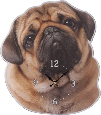 Produktbild von Wanduhr Mops Wanduhren Uhren Uhr Bilderuhren Bilduhr Tiere Hunde Möpse Haustiere