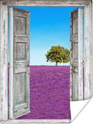 Produktbild von MuchoWow® Poster Blumen - Lavendel - Ansicht 90x120 cm - Wohnzimmer