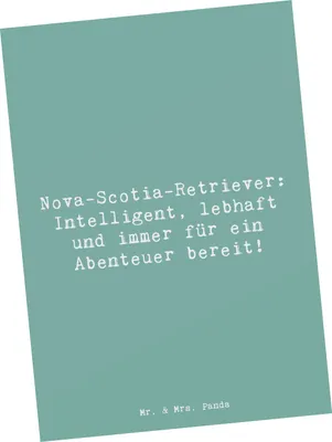 Produktbild von Mr. & Mrs. Panda Ansichtskarte Spruch Nova Scotia Duck - Meeresbrise - Geschenk, Hunderasse, Ansichtskarten, Abenteuer, Kunstkarten, Hundeliebhaber, bildkarte, Postkarten