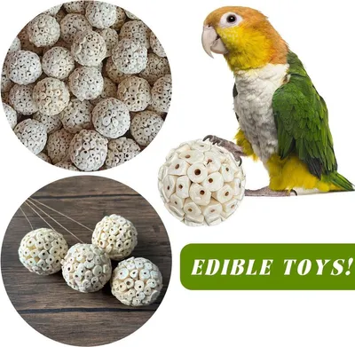 Natürliche Sola Bälle für Vögel und kleine Tiere - 6 Stück Spielzeug