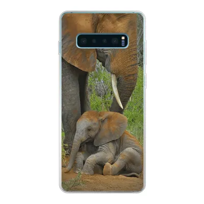 Produktbild von MuchoWow® Handyhülle Schutzhülle Hülle für Samsung Galaxy S10 Lite Elefant - Tiere - Sand - Natur Silikon Softcase Handy Hülle - Schutz