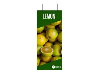 Obrázok produktu pre OKI FASTDISPLAY, Kov, 400 mm, 160 mm, 1250 mm