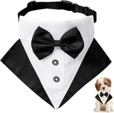 Immagine prodotto di Lussuosa cravatta per cani con bottone, ideale per matrimoni, cerimonie e feste