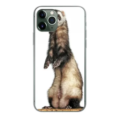 Produktbild von MuchoWow® Handyhülle Schutzhülle Hülle für iPhone 11 Pro Frettchen - Tiere - Fell Silikon Softcase Handy Hülle - Handy