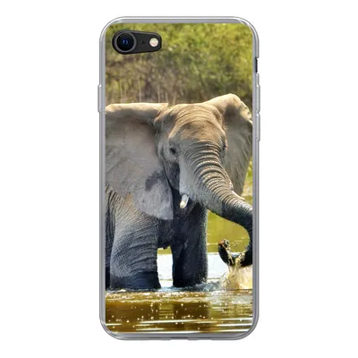Produktbild von MuchoWow® Handyhülle Schutzhülle Hülle für iPhone 8 Elefant - Wasser - Tiere - Natur Silikon Softcase Handy Hülle - Schutzhaube