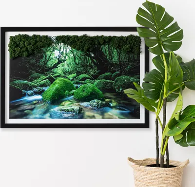 Produktbild von Moosbild mit Echtem Isländisch Moos - 60x40 cm - Schwarzer MDF-Rahmen - Fluss inmitten eines Waldes