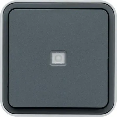 Image de Commutateur Hager AP WNC002, lumineux, W.1, IP55, gris