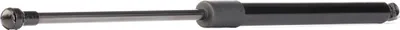 Produktbild von RIDEX 219G0365 Gasfeder Heckklappendämpfer passend für MERCEDES-BENZ S-Klasse Limousine (W220) 397mm