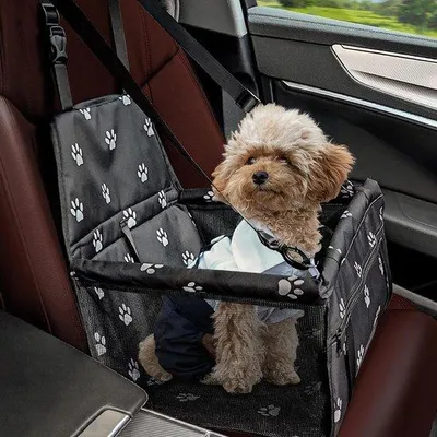 Immagine prodotto di Cuccia per cani traspirante, lavabile, 40x32x24 cm, per cani e gatti