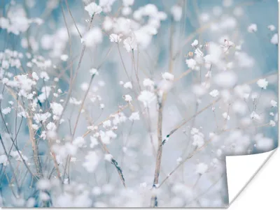 Produktbild von MuchoWow® Poster Äste - Schnee - Winter - Natur - Botanisch 160x120 cm - Foto Plakat