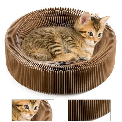 A kitten rests in a round, corrugated cardboard cat scratching bed.