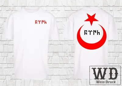 Produktbild von Wessdruck Oversize T-Shirt Turk Ay Yildiz Weiß Rot XL
