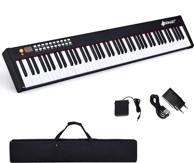 Produktbild von MIDI Keyboard, Digital Piano mit 88 Tasten, Elektronisches Klavier mit 128 Rhythmen/Klänge & 20 Demo-Songs, Elektronisches Piano mit Tragetasche