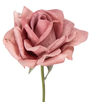Productafbeelding van Clayre & Eef Kunstbloem Roos, 35 cm, roze, kunststof
