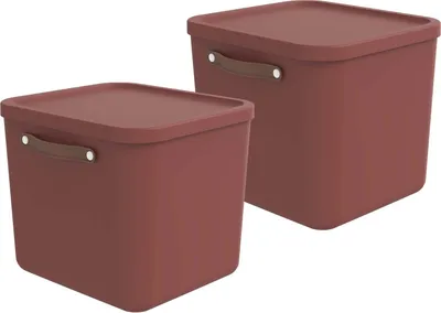 Produktbild von Rotho 2er-Set Aufbewahrungsbox 40L Maloja - Kunststoffbox mit Deckel - Stapelbox 39,5 x 38,0 x 34,0 cm - Plastikbox Ordnungsbox Allzweckkiste