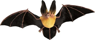 Produktbild von Safari Ltd Townsends Big Eared Bat Multicolor One Size